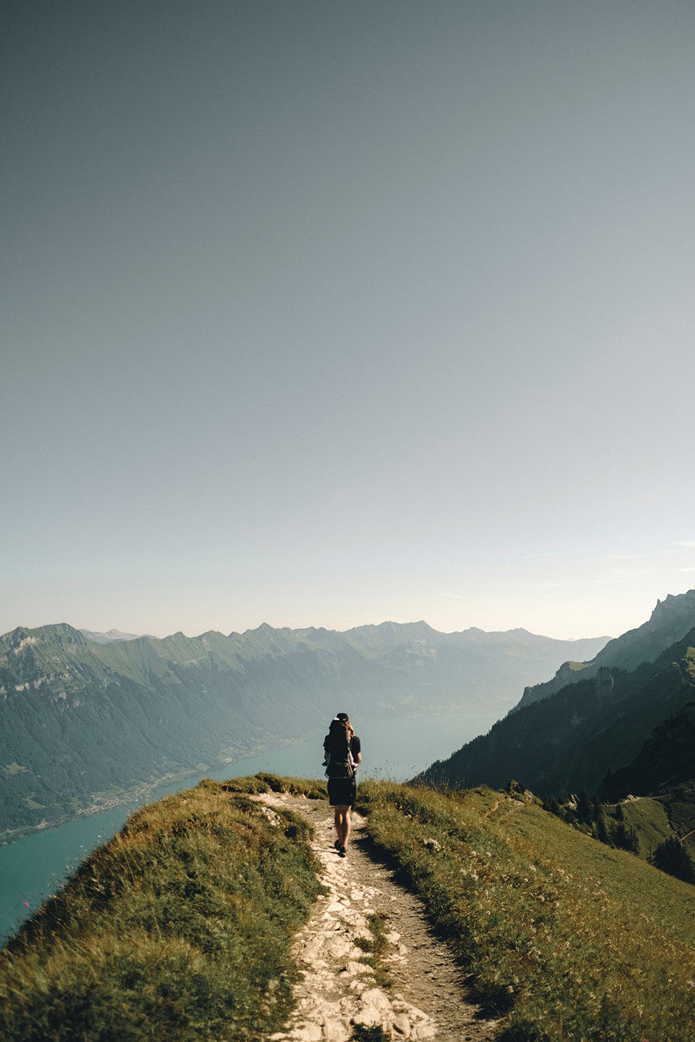 joel-jasmin-forestbird-znoL1m6MD_k-unsplash sem editar