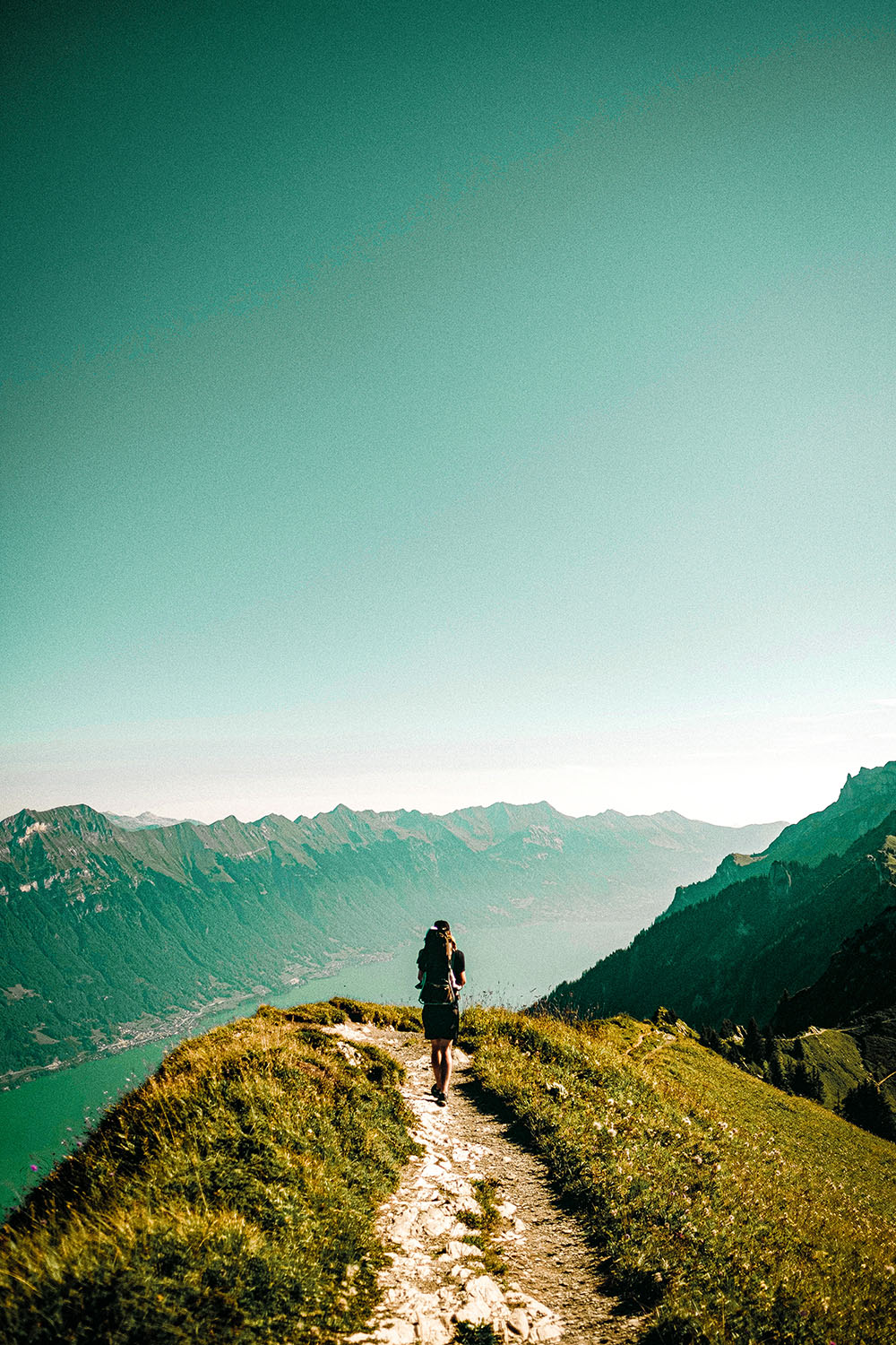 joel-jasmin-forestbird-znoL1m6MD_k-unsplash